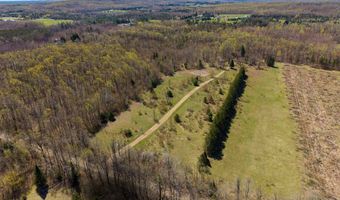 8262 Hilltop, Alanson, MI 49706