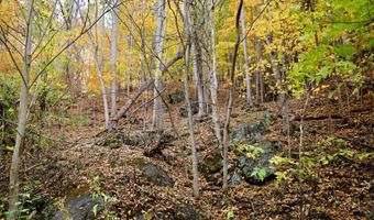 595 Rock Creek Ridge Rd, Bakersville, NC 28705