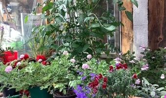 97 Calle Conejo, Arroyo Hondo, NM 87513