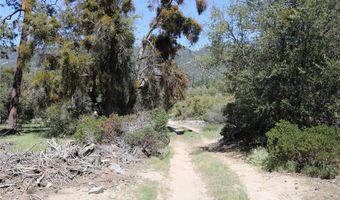 30 Seven Oaks Rd 30, Angelus Oaks, CA 92305