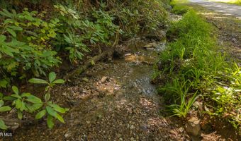 997 Miller Hollow Rd, Bean Station, TN 37708