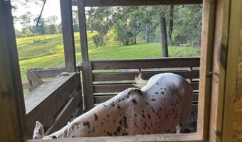 12080 Conecuh Cove Rd, Andalusia, AL 36421