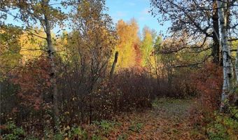 31538 County 23, Akeley, MN 56433
