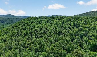 192 Puncheon Creek Ln, Allred, TN 38542