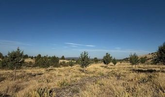 Old Coyote Ct, Alturas, CA 96101