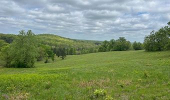 Co Rd 321 Route 5, Ava, MO 65608