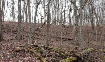 Route 12 Road, Alum Creek, WV 25003