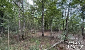 TBD-0 Yeldell Rd, Bastrop, LA 71220