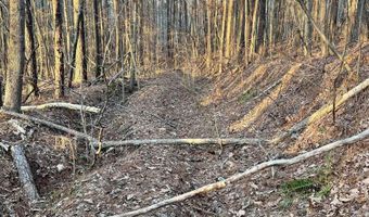 00007 SPRINGHOLLOW Rd Lot 7, Ashville, AL 35953