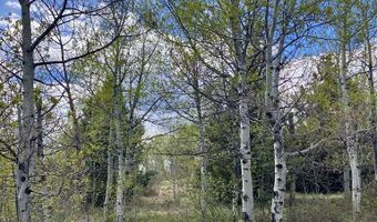 Tbd Aspen Heights Drive, Ashton, ID 83420