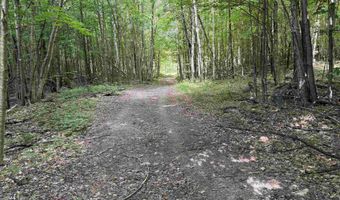 493 Wheeler Mountain Rd, Barton, VT 05822