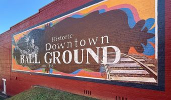 255 Lowry St, Ball Ground, GA 30107