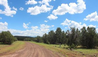 29 Co Rd 3199, Vernon, AZ 85940
