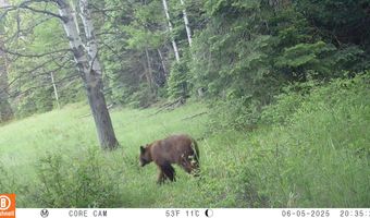 15098 CR 240, Bayfield, CO 81122