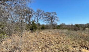 Willow Bend Lane, Atoka, OK 74525