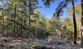 341 Perkins Hill Rd Lot 7, Alexandria, NH 03222