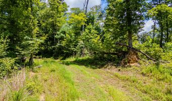 2291 Blankey Branch Rd, Beattyville, KY 41311