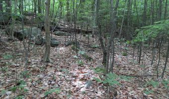 Wendy Drive lot 134-135, Alton, NH 03810