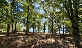 171 Lakeview Ter, Abbeville, AL 36310