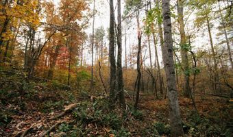 RIDGE RD lot 1, Arvonia, VA 23004