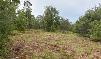 4539 NW Miller/White LN Rd, Altha, FL 32421