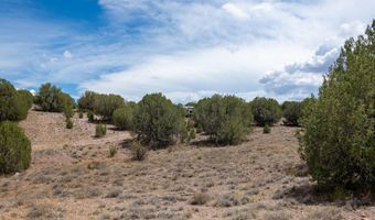 14 XX W BISON HUNT No Address Way 104, Chino Valley, AZ 86323