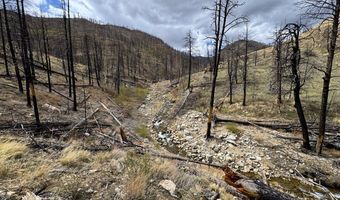 122 Black Hollow Rd, Bellvue, CO 80512