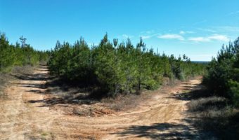 Lot 4 Robinsonville Road, Atmore, AL 36502