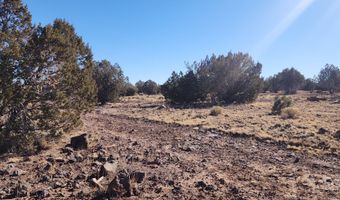251 Se4 Juniperwood Rnch, Ash Fork, AZ 86320