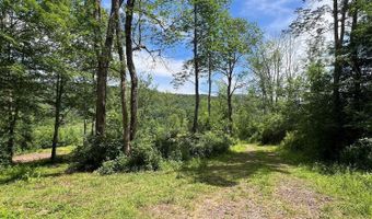 0 Woodland Hills Rd, Andes, NY 13731