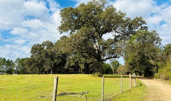 644 Ash-harrel Loop, Abbeville, GA 31001