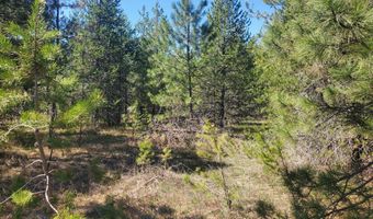 Nka Sheep Springs 10 acres, Athol, ID 83801