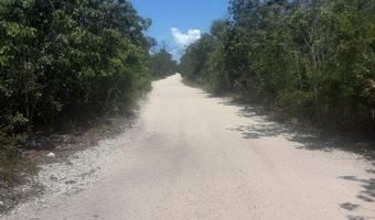 Old State Road 4A, Big Pine Key, FL 33043