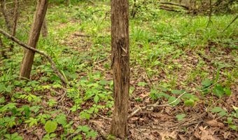 Franklin Dr, Batesville, MS 38606