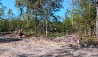 Londe Lane, Barnwell, SC 29812
