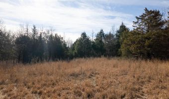 1789 County Road 226, Alton, MO 65606