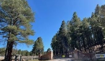 1663 Canyon View Loop 41, Williams, AZ 86046