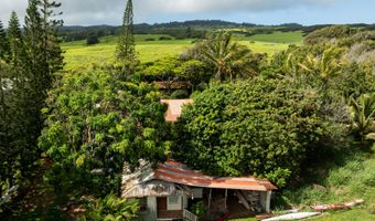 55-546 HUALUA Rd, Hawi, HI 96719