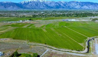 Pinenut Road, Gardnerville, NV 89410
