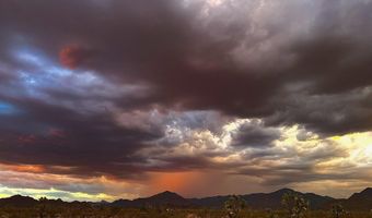 5558 E Red Barrel Rd, Yucca, AZ 86438