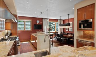 714 S Galena St B, Aspen, CO 81611