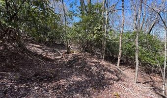 62 Acres Buckeye Ridge Rd, Beech Mountain, NC 28604