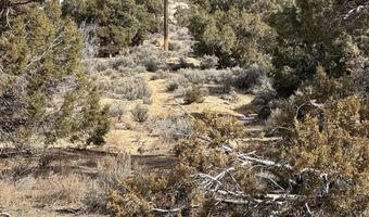 County Road 2550, Aztec, NM 87410