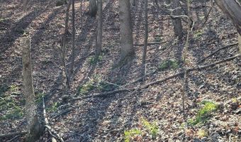 River Oak drive lot 7, Big Sandy, TN 28320