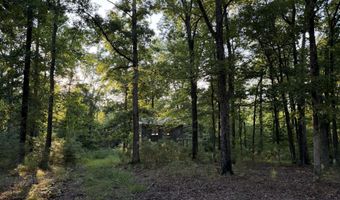2925 Bakers Chapel Church Rd, Big Sandy, TN 38221
