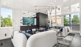 627 E Hopkins Ave 201, Aspen, CO 81611