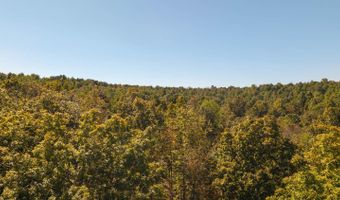 County Road 204, Alton, MO 65606