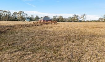 641 Chicora River Rd, Buckatunna, MS 39322