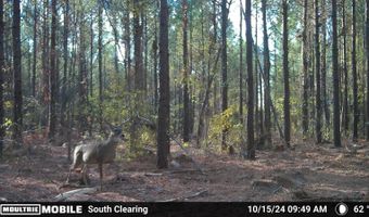19 43 Big Rocks Rd, Antlers, OK 74523