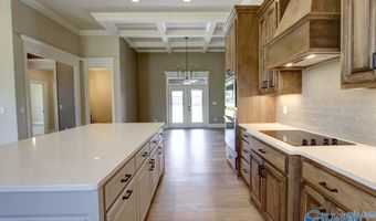 13651 Pipers Sq, Athens, AL 35611